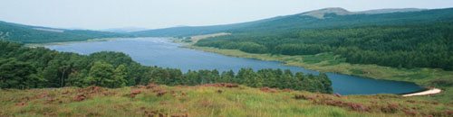 Loch Grannoch