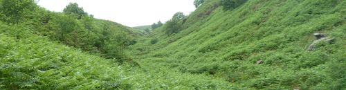 Danby Beck