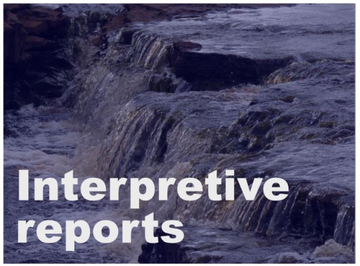 Interpretive reports